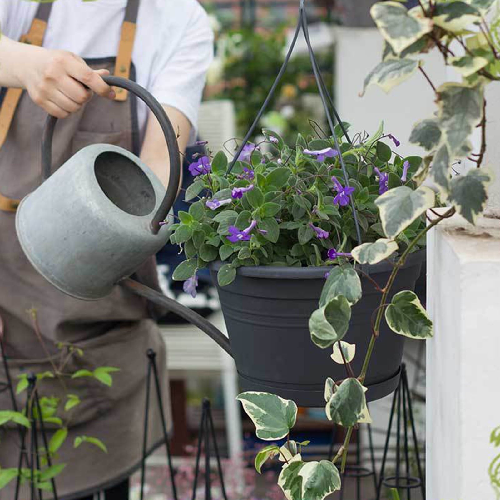 Cheers US Plastic Hanging Planter Self Watering Basket Hanging Flower Pot with Detachable Base for Garden Indoor Outdoor Home Decoration