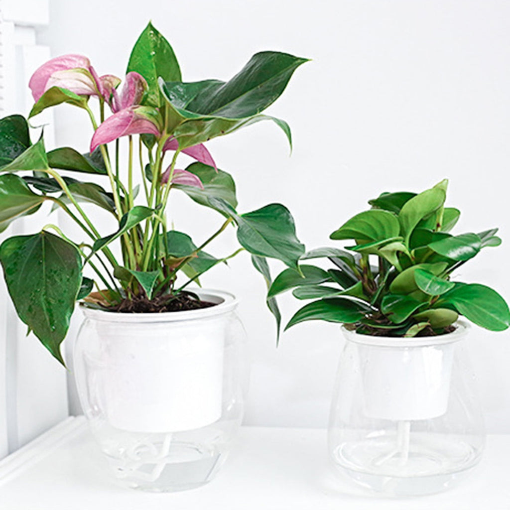 SPRING PARK Self Watering Planter, Violet Pots, Clear Plastic Automatic-Watering Planter Flower Pot Plant Pot for All House Plants, Succulents, Herb, African Violets