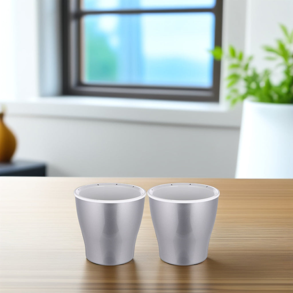 PAMINGONO 2Pcs Plastic Planter Self Watering Flowerpot for Succulent and Cactus Plants Silver Durable Design