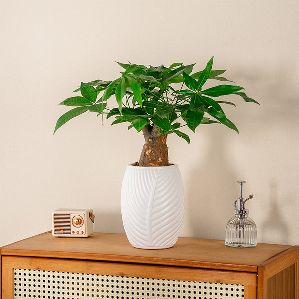 Gnmfd Automatic Self Watering Leaf Shaped Flower Pot Desktop Balcony Plant Planter for Succulents Herbs Small Flowers Indoor Outdoor Gardening Decorative Storage Organizer Planter Container