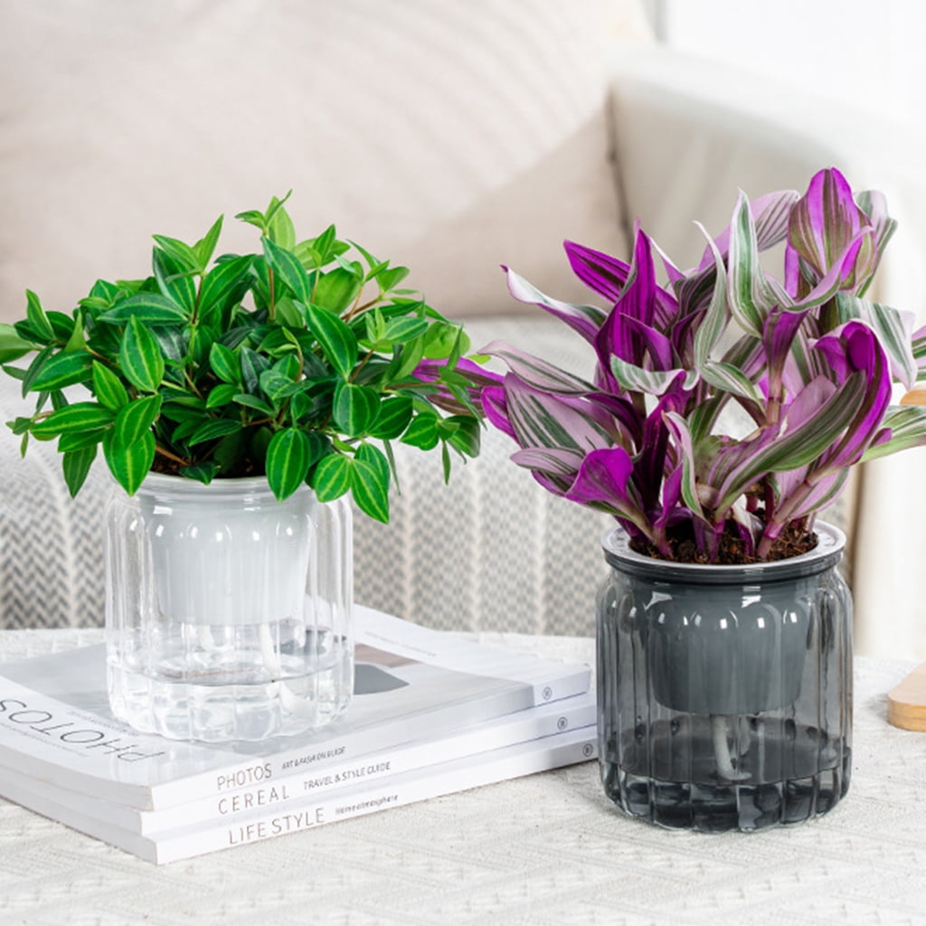 Stylish Self Watering Planter with Large Capacity for Extended Watering Interval