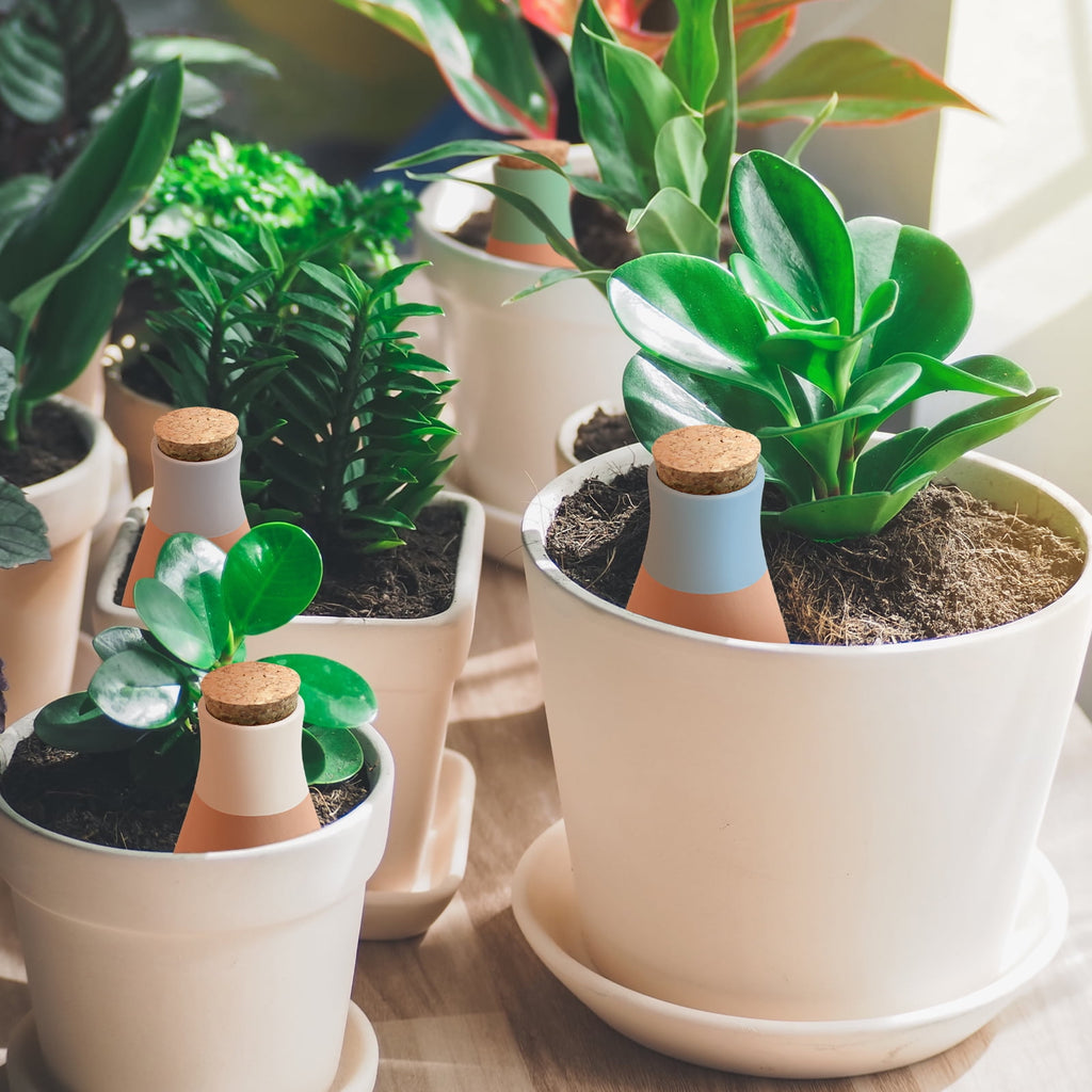 4 Pcs Ollas Terracotta Watering Pots Large, Self Watering Planter Insert Olla Watering System for 1-Week Easy to Refill, Clay Plant Watering Globes for Outdoor & Indoor Plants