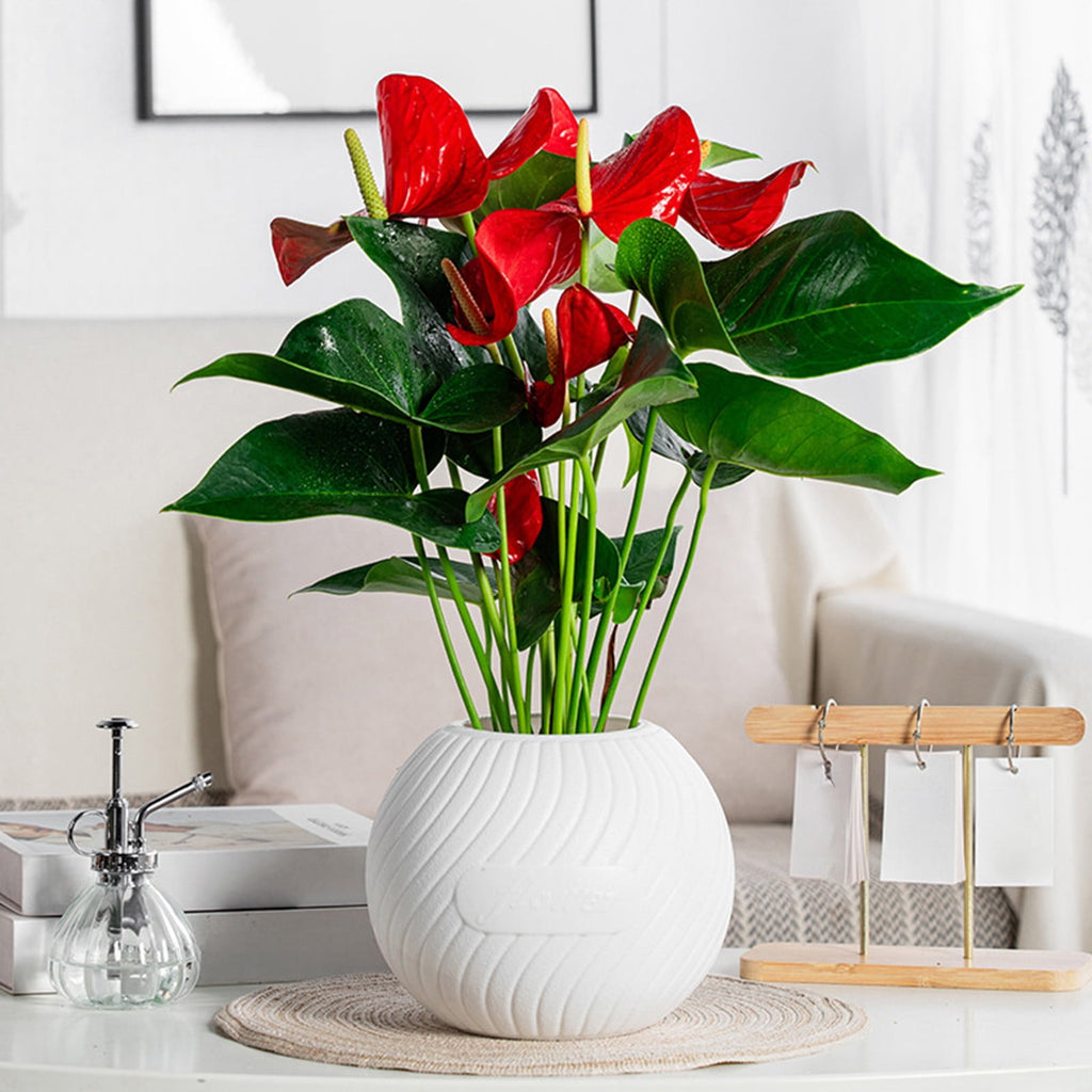 Fwttom Plant Pots, Plastic Self Watering Pots for Indoor Plants, Planter Container for Windowsill Balcony Home Decoration, White