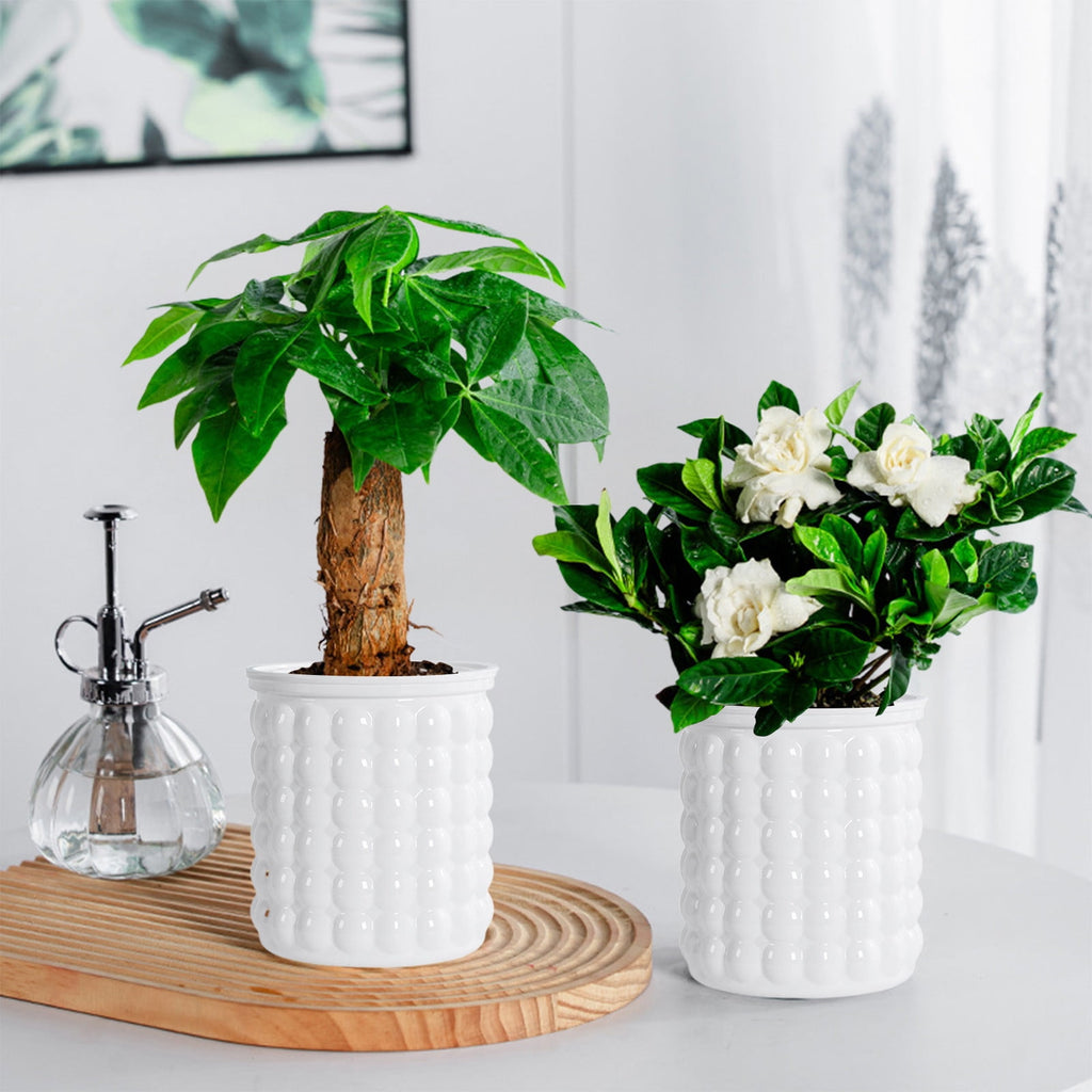 syligr Self Watering Transparent Flower Pot Plastic Planter 5x4 Inch Beige White Gray Green for Small Plants Succulents Herbs Hydroponics Indoor Home Decor Automatic Watering System