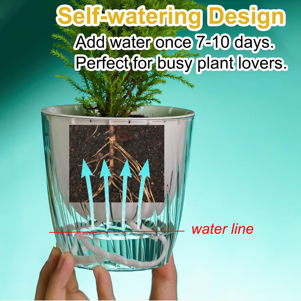 4Pcs Self Watering Planters, 4.53inch Transparent Flower Pots for Indoor Plants, Perfect for African Violet, Monstera, Succulents, Herbs & Decorative Flowers(Style 1)