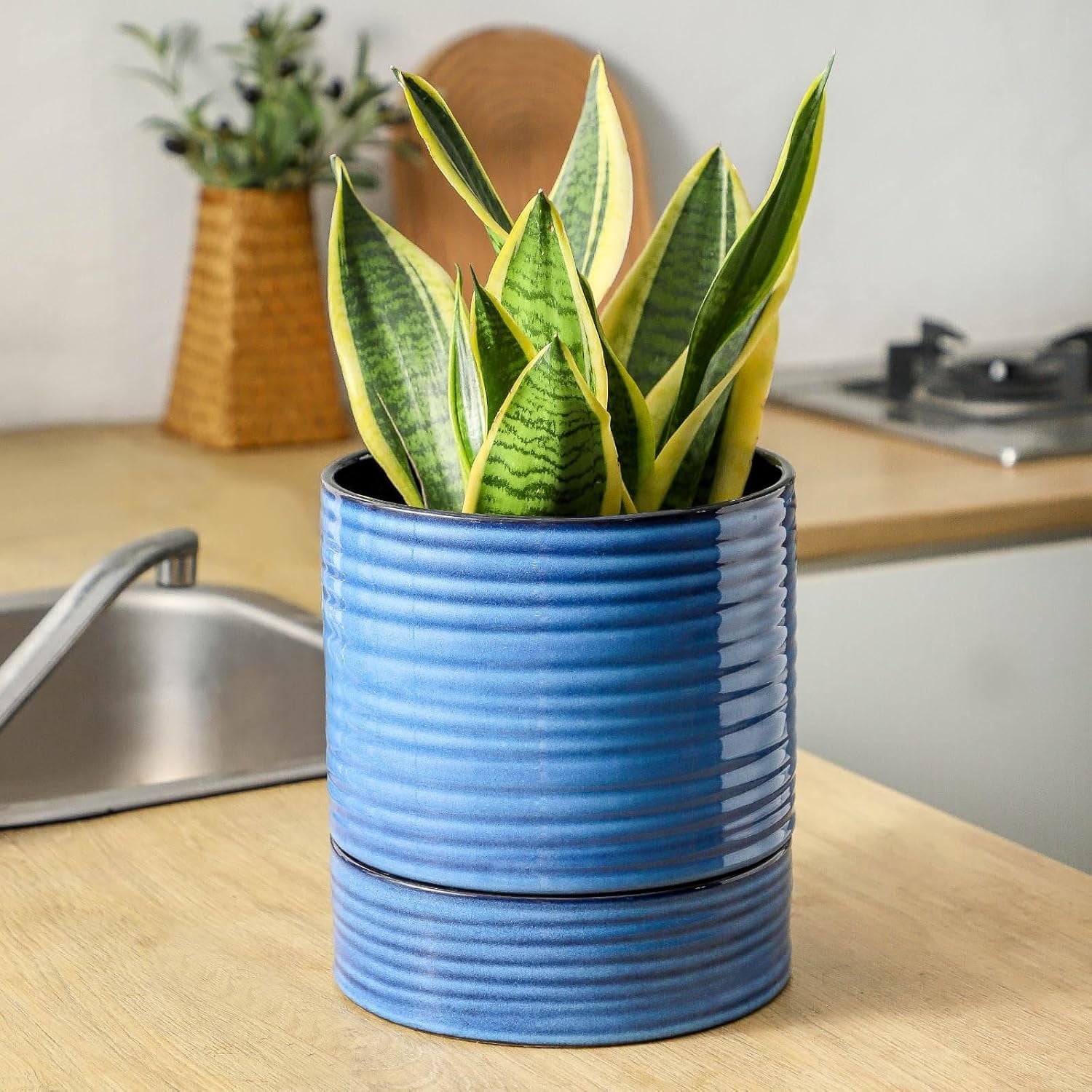 Large Self Watering Plant Pot, 8 Inch Porcelain Planter with Drainage Hole and Water Storage Plus for Outdoor & Indoor House Plants and Garden, Round Flower Pots for Home or Office Decor, Blue