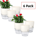 6 Pack Self Watering Pots for Indoor Plants, Self-Watering Planters Box Transparent,Plastic Planter Pot for Spider Plant, Orchid for Home & Office. African Violet Pot for Outdoor Plants (6”)