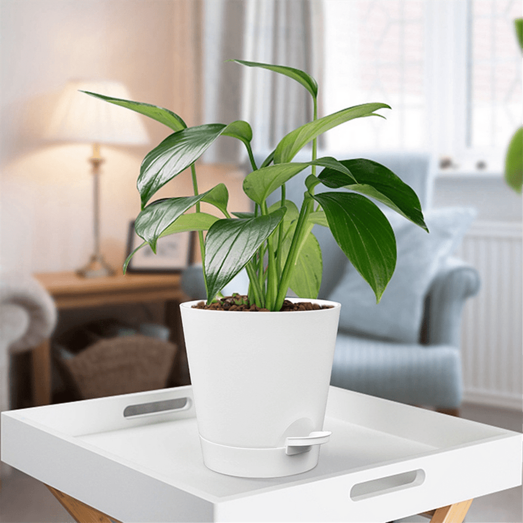 Qtmnekly 5 Pack 5 Inch Self Watering Pots for Indoor Plants, Flower Pots Planter with Drainage Holes and Wick Rope White