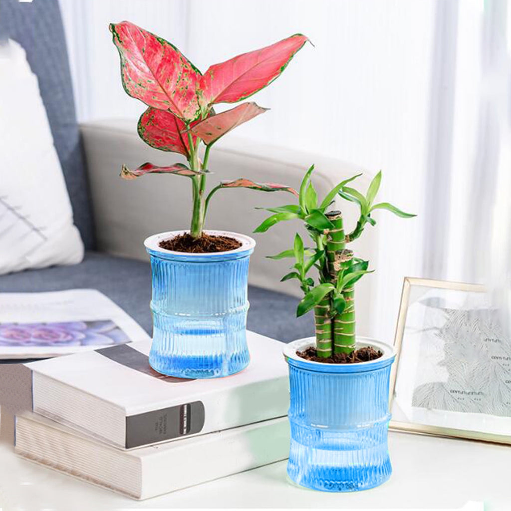 Self Watering Planter under $5! CQCYD Self Watering Plant Pots for Indoor Plants, Automatic Watering Planters for Houseplants, Plastic Flower Pots with Water Reservoir, Lazy Gardener Plant Containers