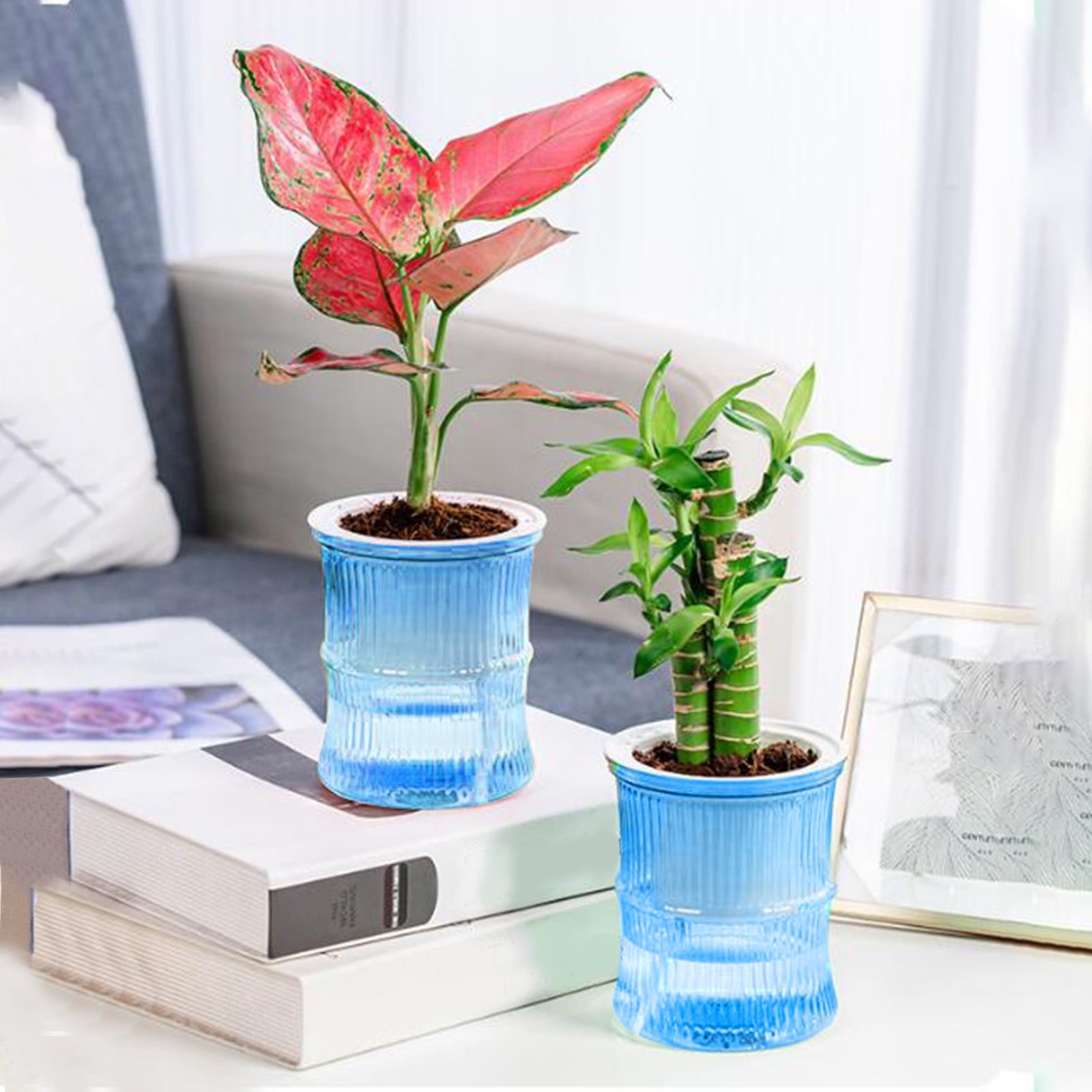 Self Watering Planter under $5! CQCYD Self Watering Plant Pots for Indoor Plants, Automatic Watering Planters for Houseplants, Plastic Flower Pots with Water Reservoir, Lazy Gardener Plant Containers