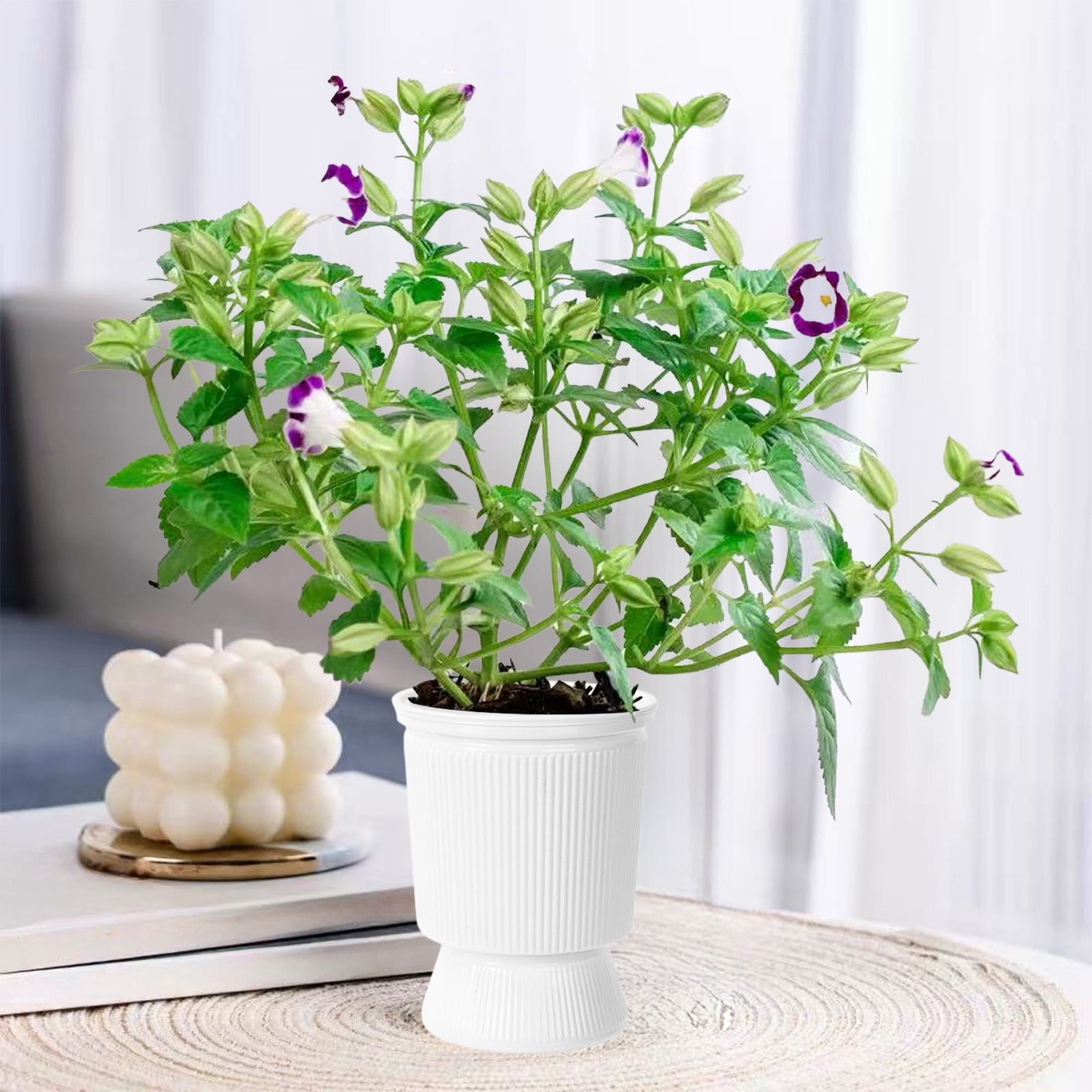 FEOLGEHLY 2 Pack 5.1 inch Self Watering Pots for Indoor Plants, Planters for Indoor Plants, Flowerpot with Wick & Reservoir, White