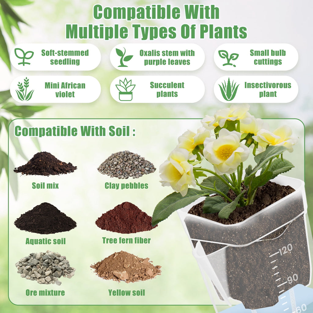 12 Pack 2" Mini Self Watering Pots for Indoor Plants Small Clear Plastic Planters Alocasia Corm Propagation African Violet Cutting Seeding Water Level Indicator Drainage Hole 12 Plant Label