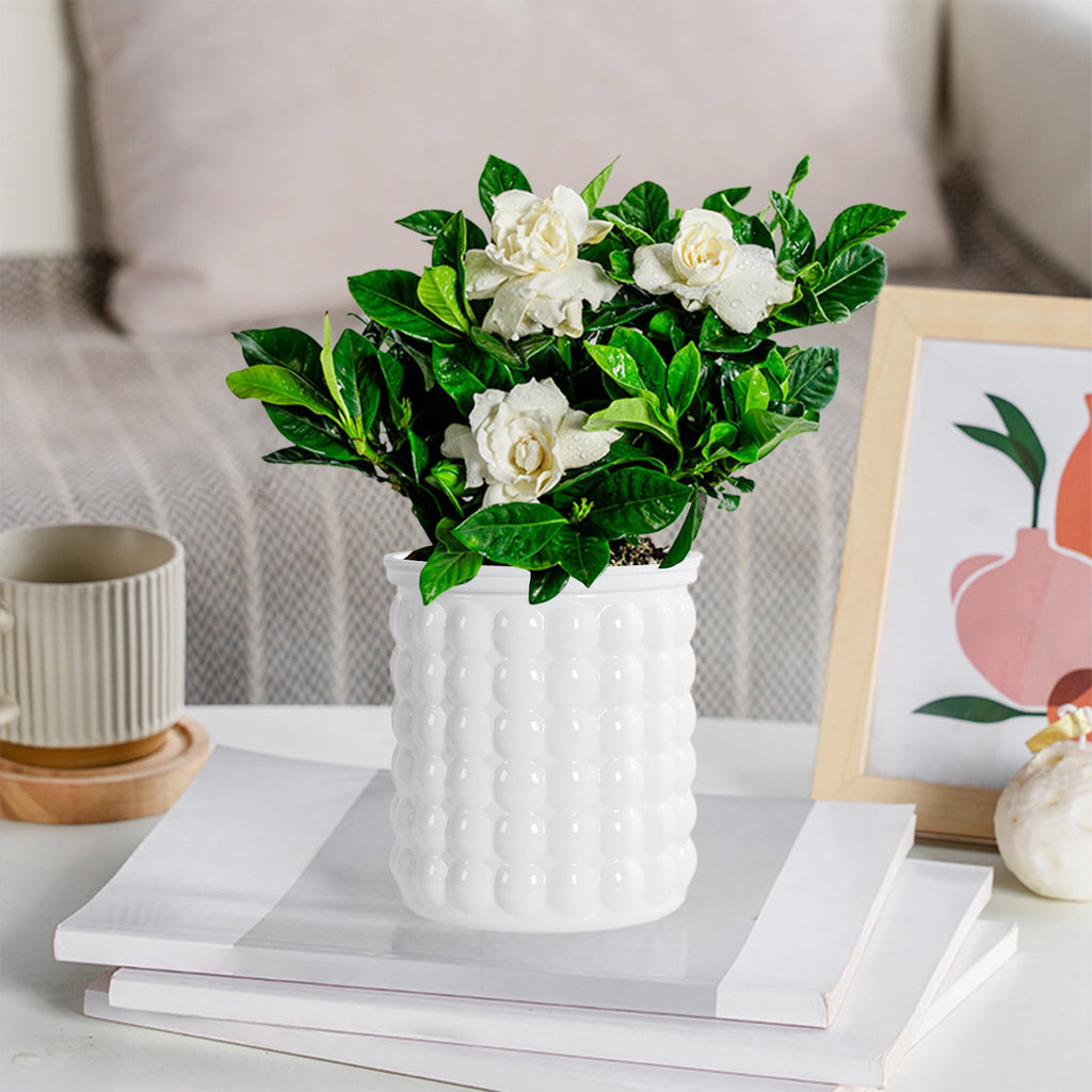 syligr Self Watering Transparent Flower Pot Plastic Planter 5x4 Inch Beige White Gray Green for Small Plants Succulents Herbs Hydroponics Indoor Home Decor Automatic Watering System