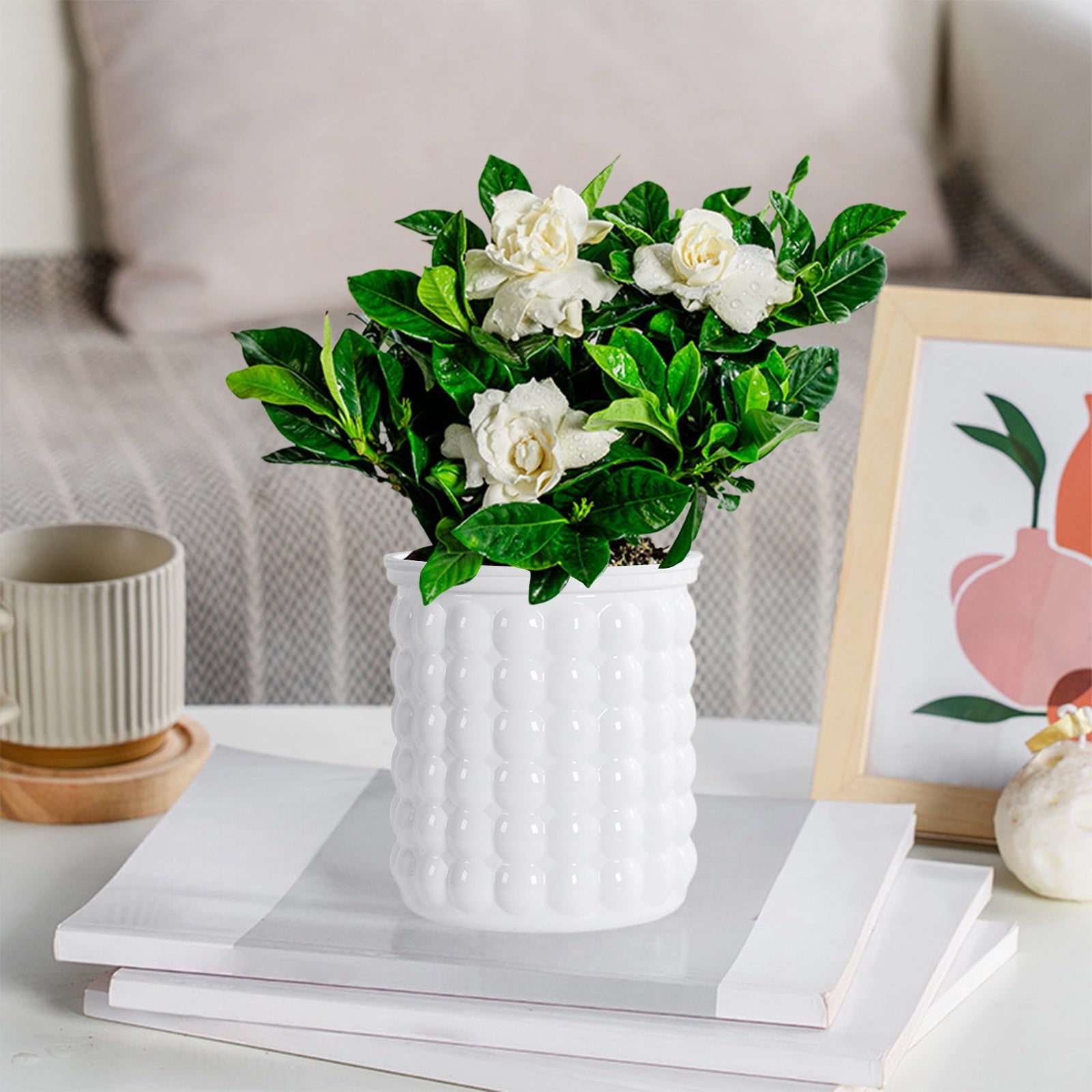 syligr Self Watering Transparent Flower Pot Plastic Planter 5x4 Inch Beige White Gray Green for Small Plants Succulents Herbs Hydroponics Indoor Home Decor Automatic Watering System