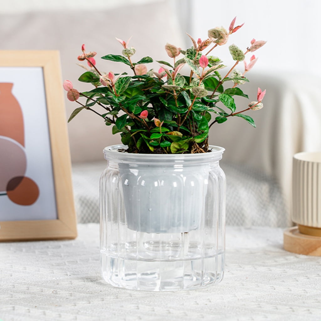 Stylish Self Watering Planter with Large Capacity for Extended Watering Interval
