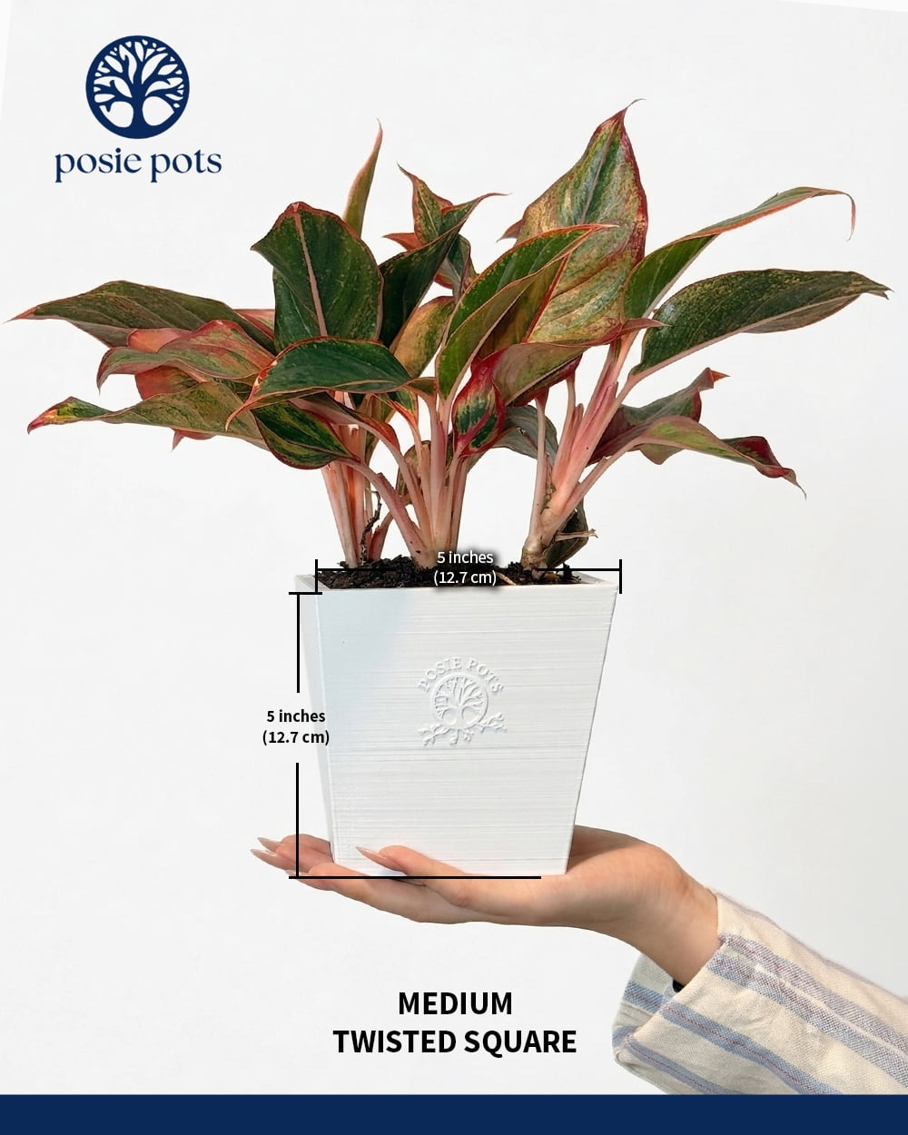 Posie Pot 5 inch, Medium, White, Twisted Square Self Watering Planter, 3D Printed