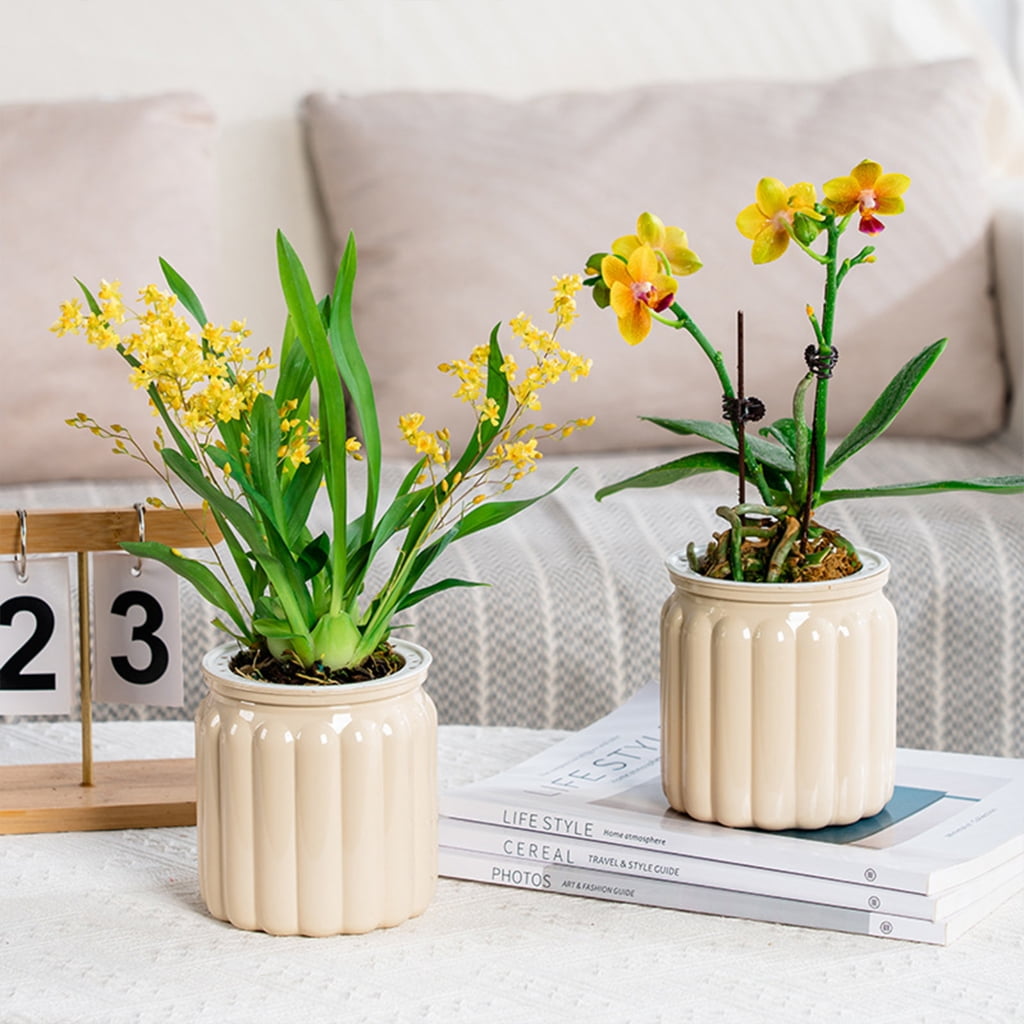 Stylish Self Watering Planter with Large Capacity for Extended Watering Interval