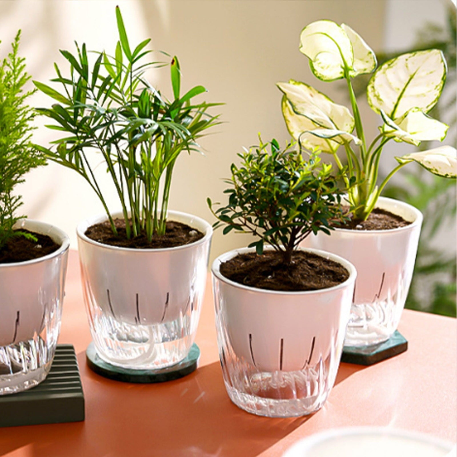 FEOLGEHLY Self Watering Planters 4.5 Inch Self Watering Pots for Indoor Plants, African Violet Pots with Wick Rope, Flowers, Succulents, Herb, House Plants (White Clear)