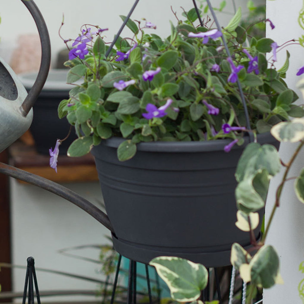 Cheers US Plastic Hanging Planter Self Watering Basket Hanging Flower Pot with Detachable Base for Garden Indoor Outdoor Home Decoration