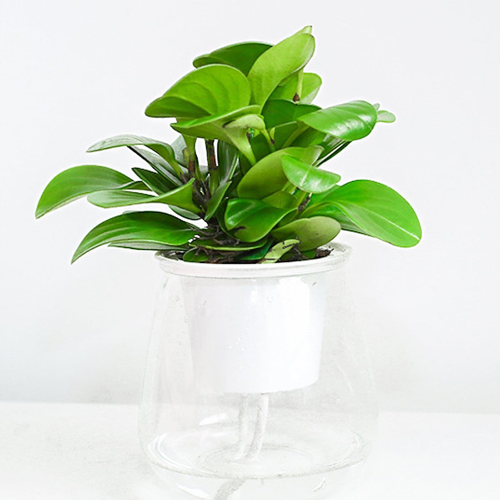 SPRING PARK Self Watering Planter, Violet Pots, Clear Plastic Automatic-Watering Planter Flower Pot Plant Pot for All House Plants, Succulents, Herb, African Violets
