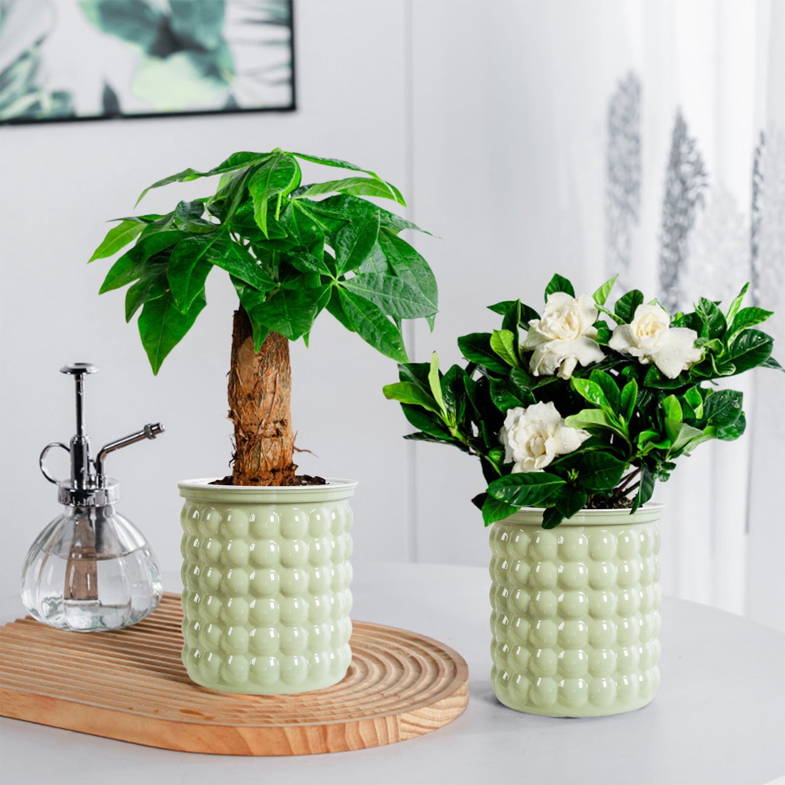 Self Watering Transparent Flower Pot | Automatic Plastic Planter for Small Indoor Plants, Hydroponics | Beige, White, Gray, Green | 12x10.5x11.5cm | Home Decor