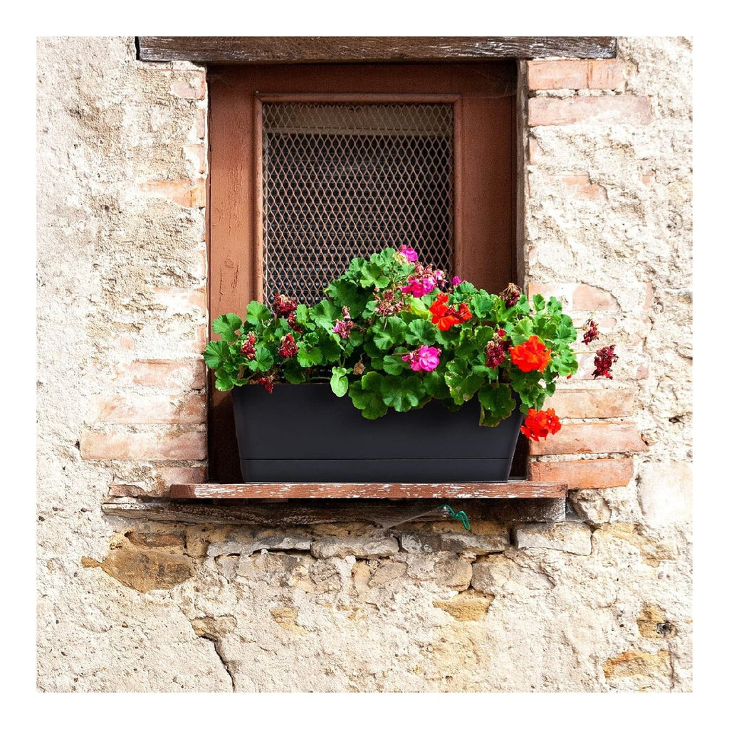 Modern Indoor Succulent Pot,QZS Plastic Windowsill Planter for Flowers,12x3.8x4.6In Self Watering Planter Pot for Vegetable,Flowers