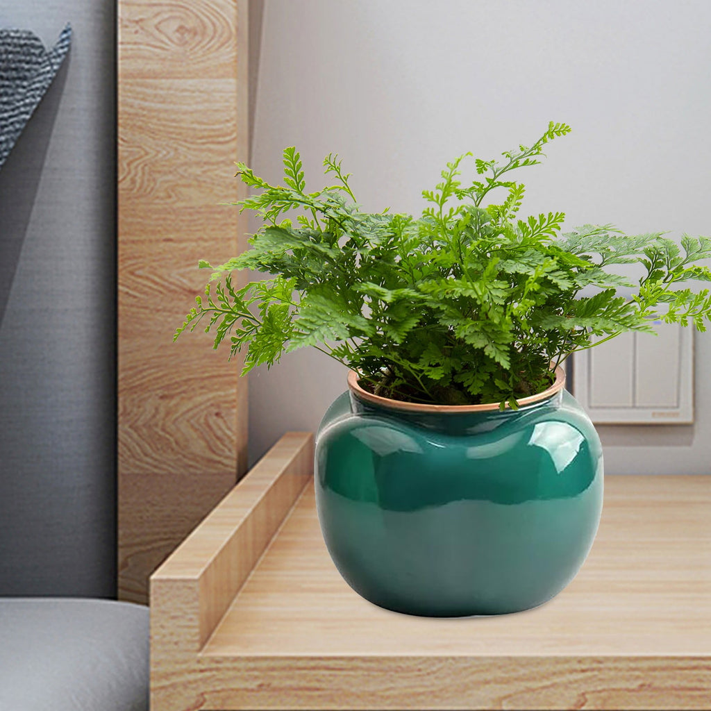 WMGHA 5.3 Inch Self Watering Plastic Planter with Water Container, Modern Decorative Planter Flower Pot for House Plants, Herbs, Aloe, African Violets, Succulents