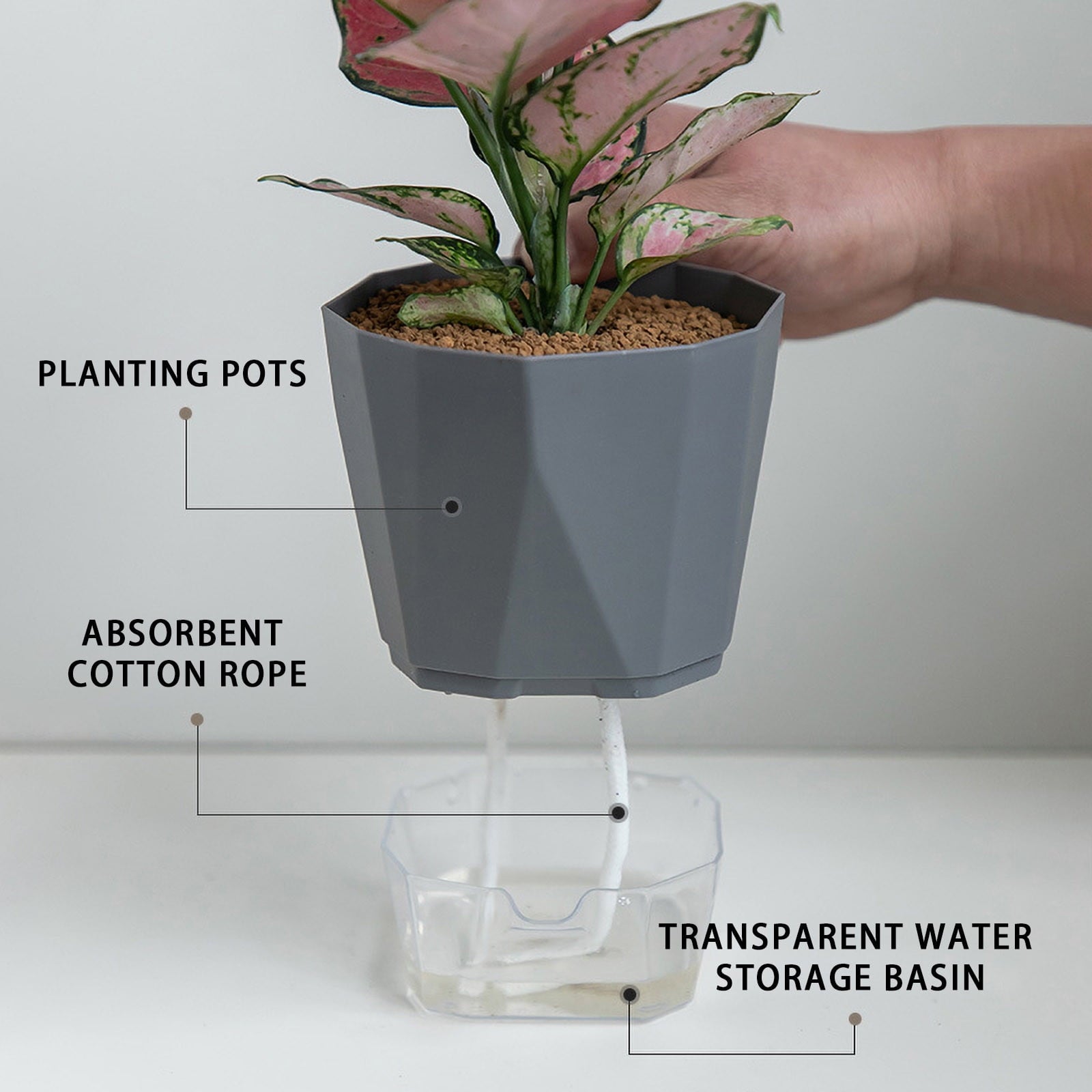 Design Self Watering Planter for Indoor Plants, Clear Plastic Pots,Waterless Automatic Water Absorbing Lazy Pot Plastic Flower Arrangement Hydroponic Flowerpot