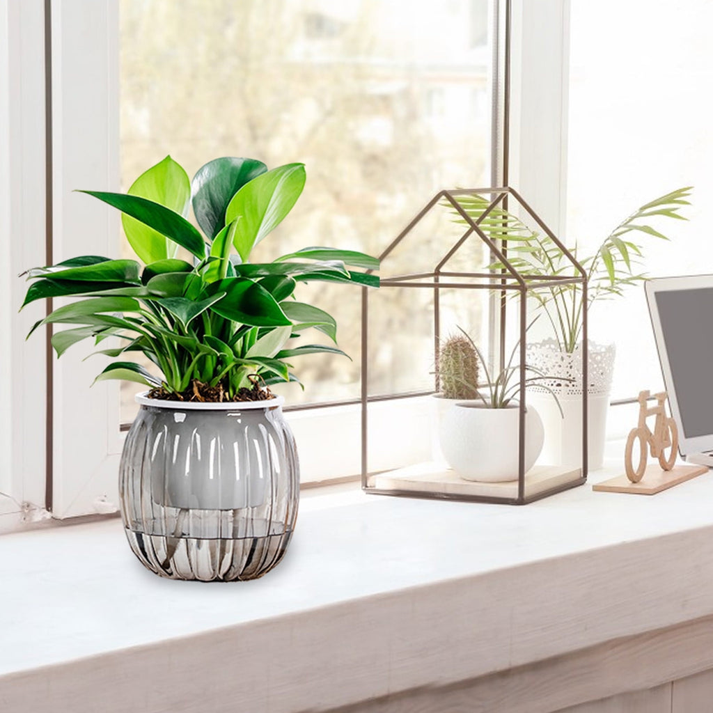 FASIAOU Self Watering Planter , African Violet Pots, Clear Plastic Automatic-Watering Planter Flower Pot Square Plant Pot for All House Plants, Succulents, Herb, African Violets (1 Pcs )Clear