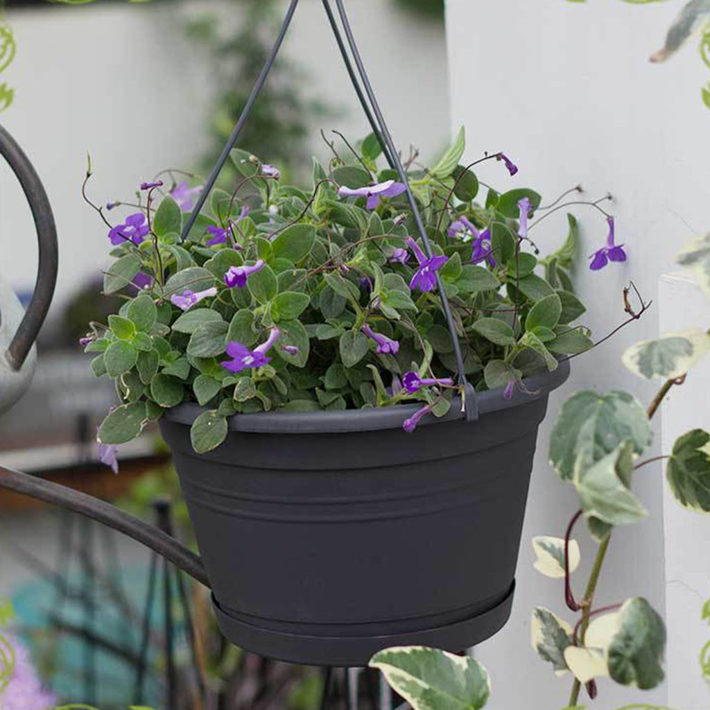 Cheers US Plastic Hanging Planter Self Watering Basket Hanging Flower Pot with Detachable Base for Garden Indoor Outdoor Home Decoration