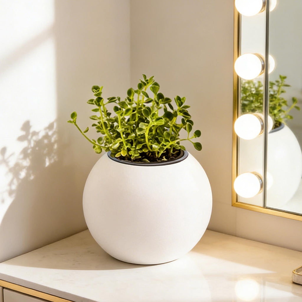 Hometravel Self Watering Plant Pot, Plastic Spherical Flower Container, Automatic Absorbing Planter for Indoor Desktop