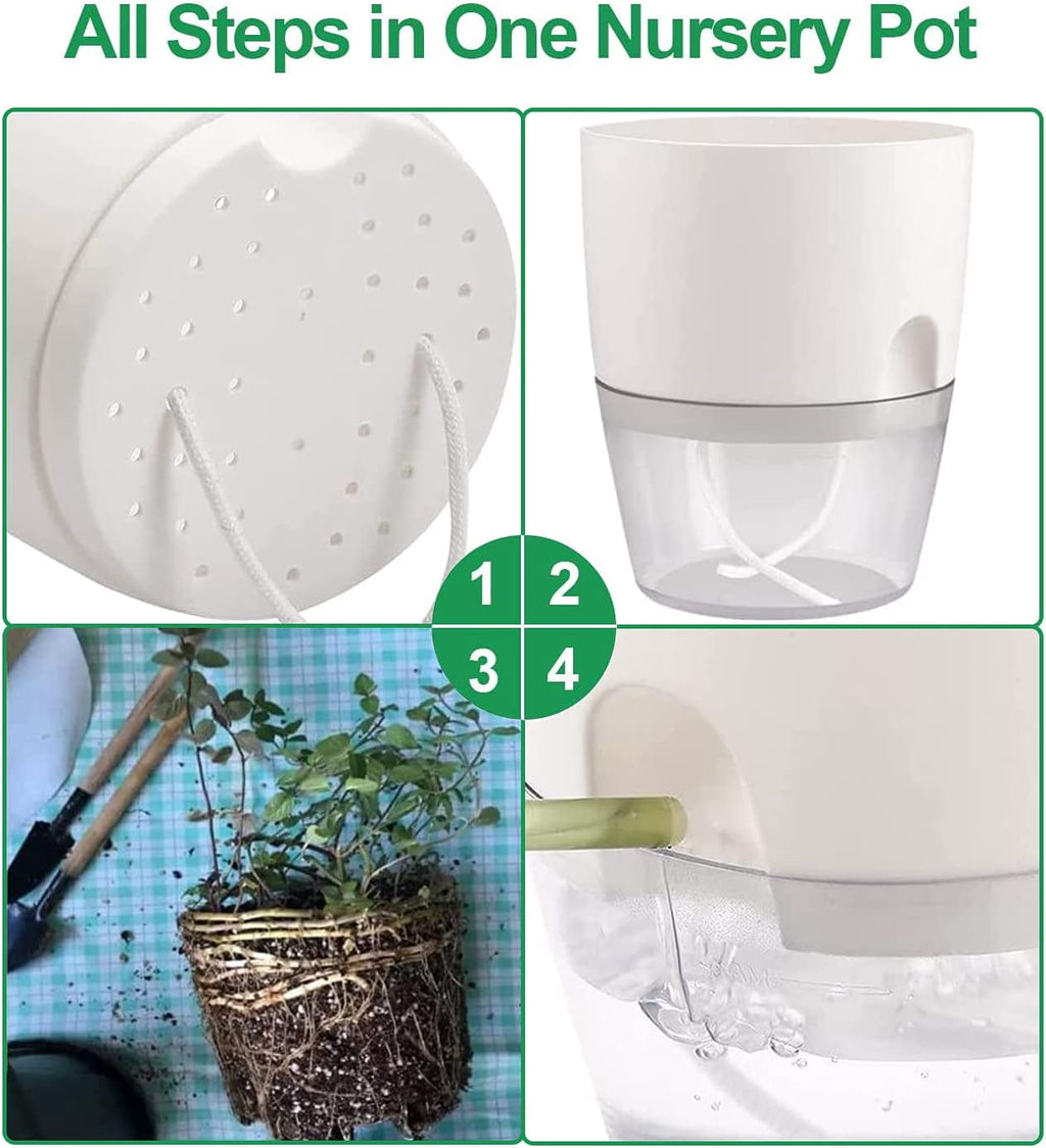 6 Pack Self Watering Pots for Indoor Plants, Self-Watering Planters Box Transparent,Plastic Planter Pot for Spider Plant, Orchid for Home & Office. African Violet Pot for Outdoor Plants (6”)