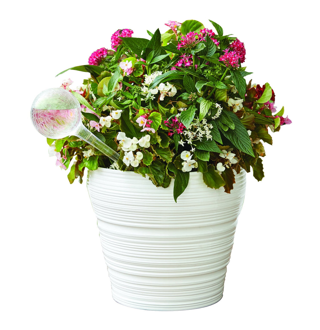 Mainstays 12 inch Round Plastic Self Watering Globe for Planters