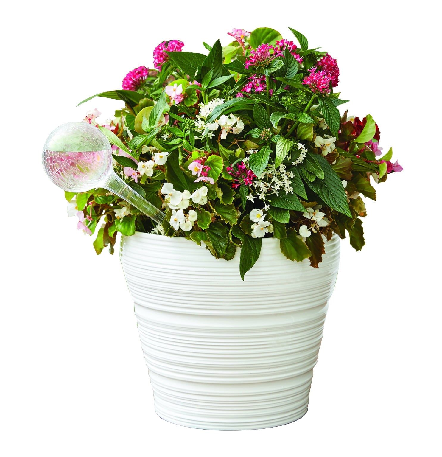 Mainstays 12 inch Round Plastic Self Watering Globe for Planters