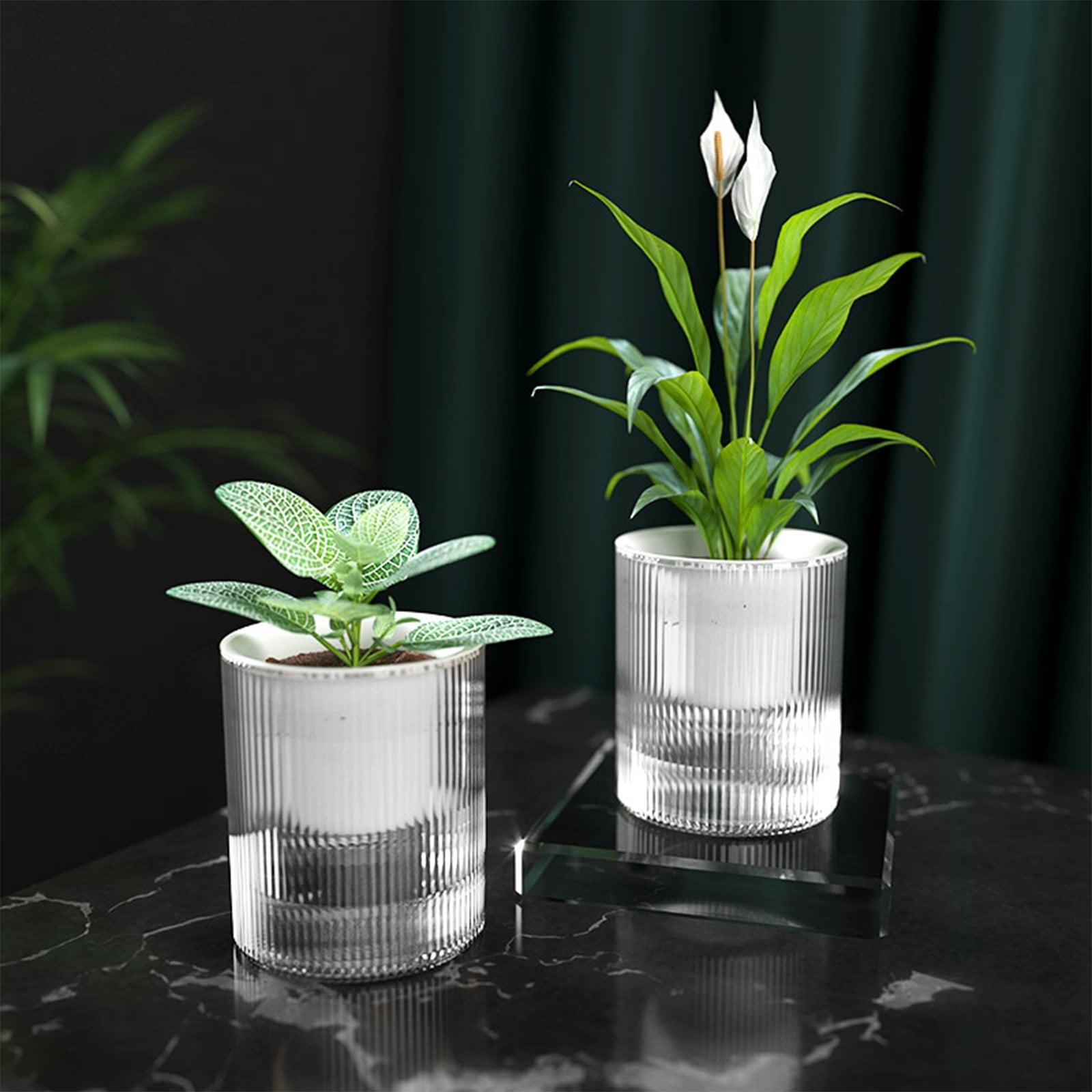 HANXIULIN Self Watering Planter African Violet Pots Clear Plastic Automatic Watering Planter Flower Pot Square Plant Pot for All House Plants Succulents Herb 4Inch