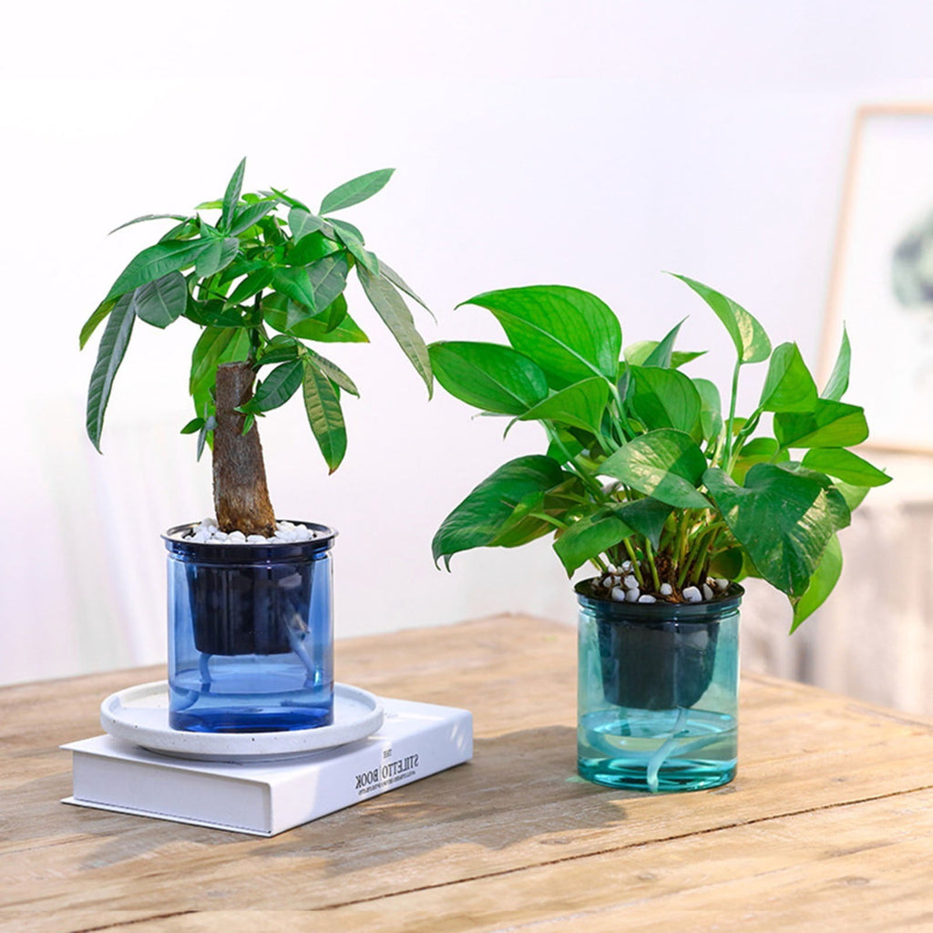 EZPXFCI Self Watering Pots, 4 Inch Self Watering Pots for Indoor Plants, Planter Pot with Wick Rope and Reservoir for African Violet, Spider Plant, Orchid