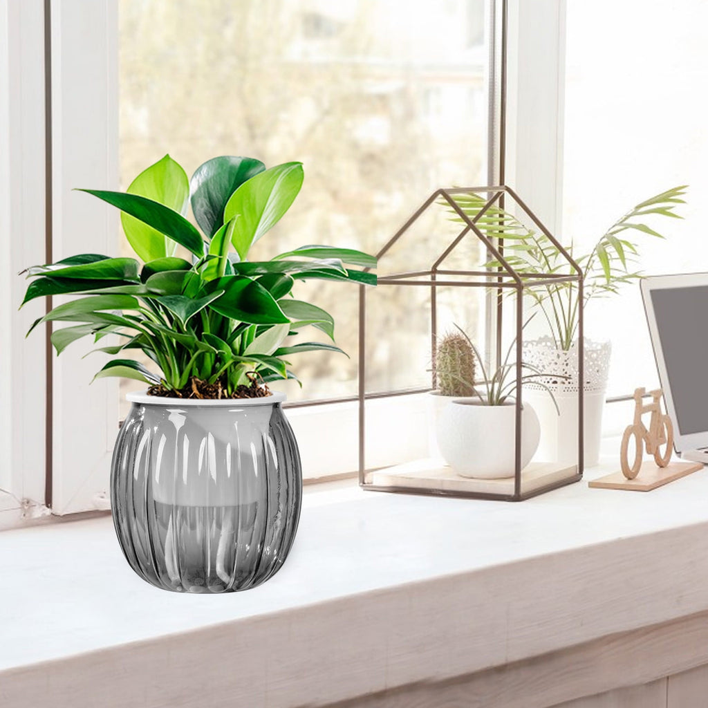 Todaioua 4 Inch Self Watering Plant Pot, Self Watering Pots, Small Self Watering Planter with Reservoir for Indoor Plants for Garden Home, Green Plant Lovers (Transparent Gray)