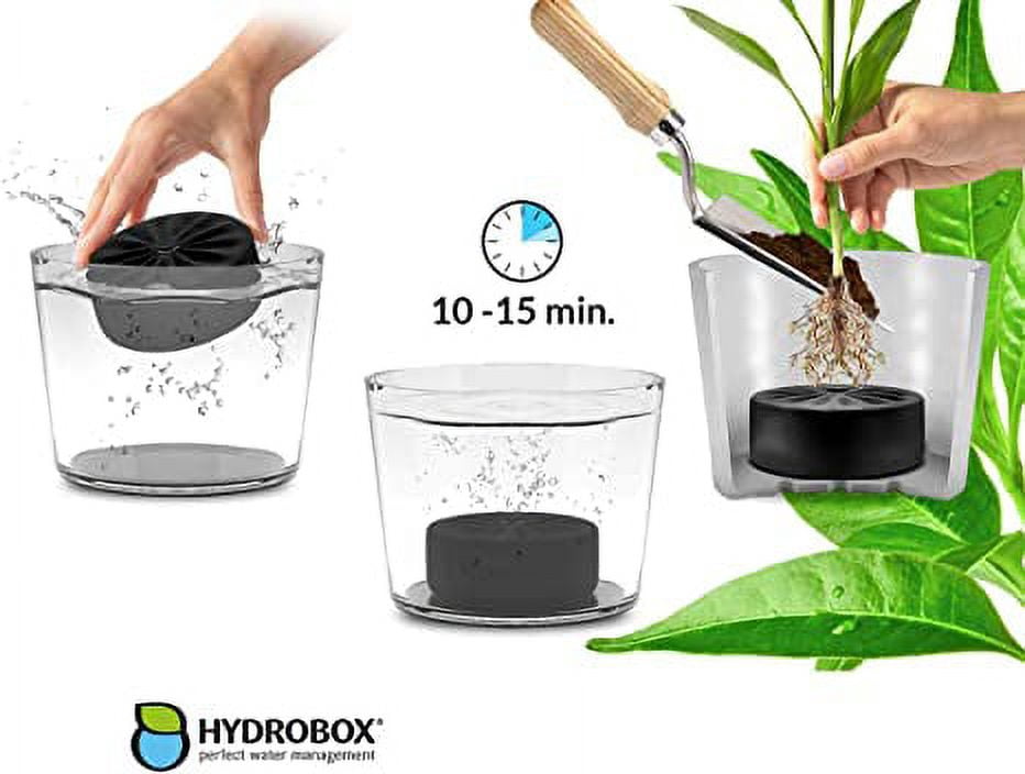 HYDROBOX 5.9'' Round Black Smart Planter with Self-Watering Feature