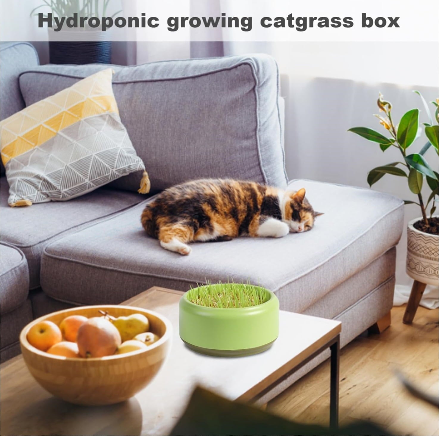 Trianu 2 Pack Cat Grass Planter Self Watering Pots Cat Plant Nursery Planting Box Cat Grass Planting Container Hydroponic Plants for Cats (Yellow, NO SEEDS)