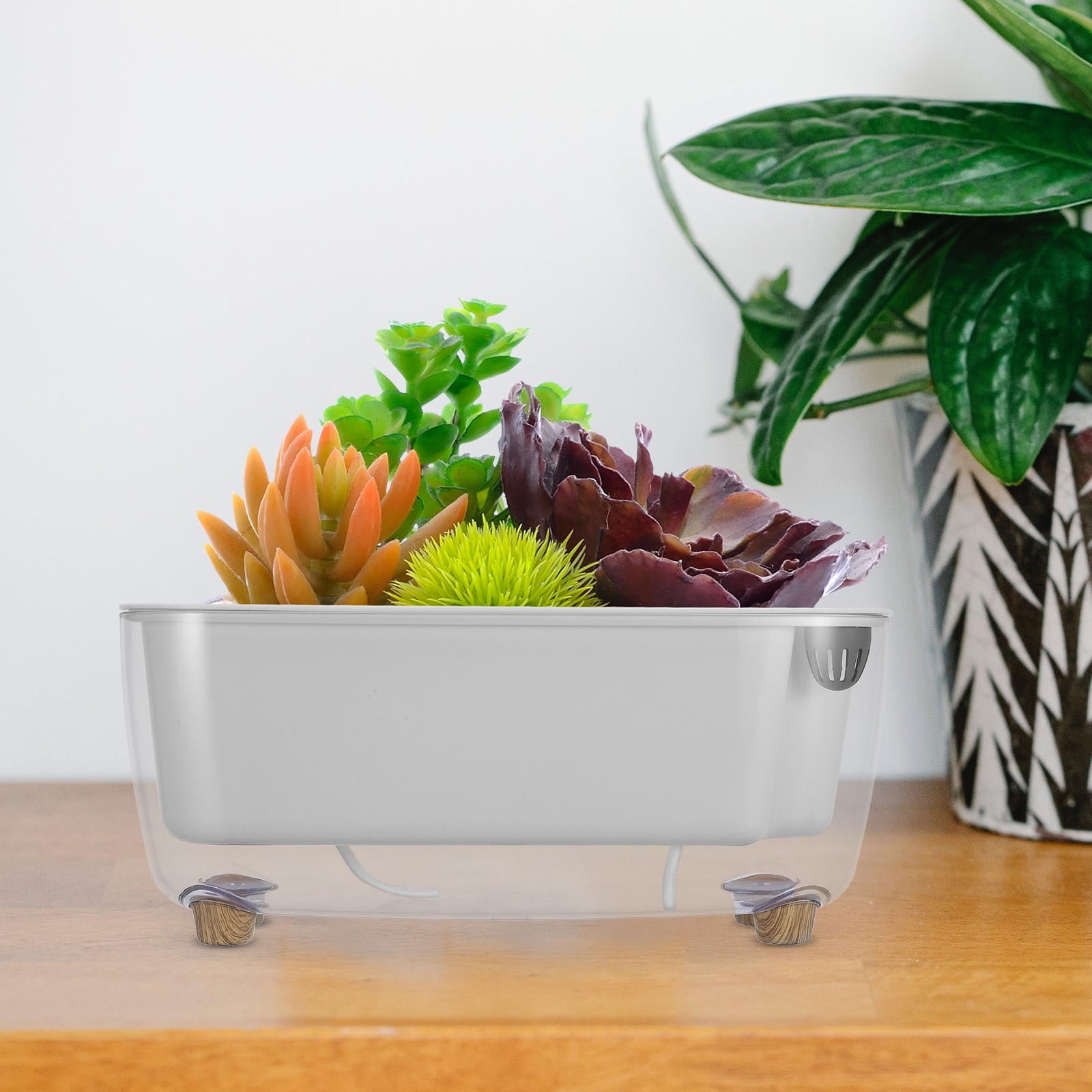 Plant Pot Indoor Self Watering Pot For Outdoor Plants Planter For Indoor Plants Plastic Flower Pot For Self Watering Window Planter Indoor Planter For Houseplants Planter Self Watering