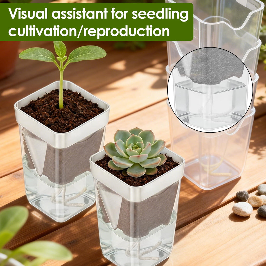 12 Pack Self Watering Plant Pot Mini Self Watering Pot for Indoor Small Clear Plastic Planter for Propagation Cutting Seeding with Reservoir Drainage Holes and Labels
