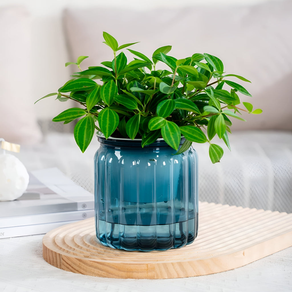 ACDANC 2026 New Self-Watering Plants Pots - 4.5" Transparent Plastic Planter with Water Reservoir,Automatic Watering Flower Pot for Indoor Plants,Desk Decor for Succulents,Herbs & Small Plants (Blue)
