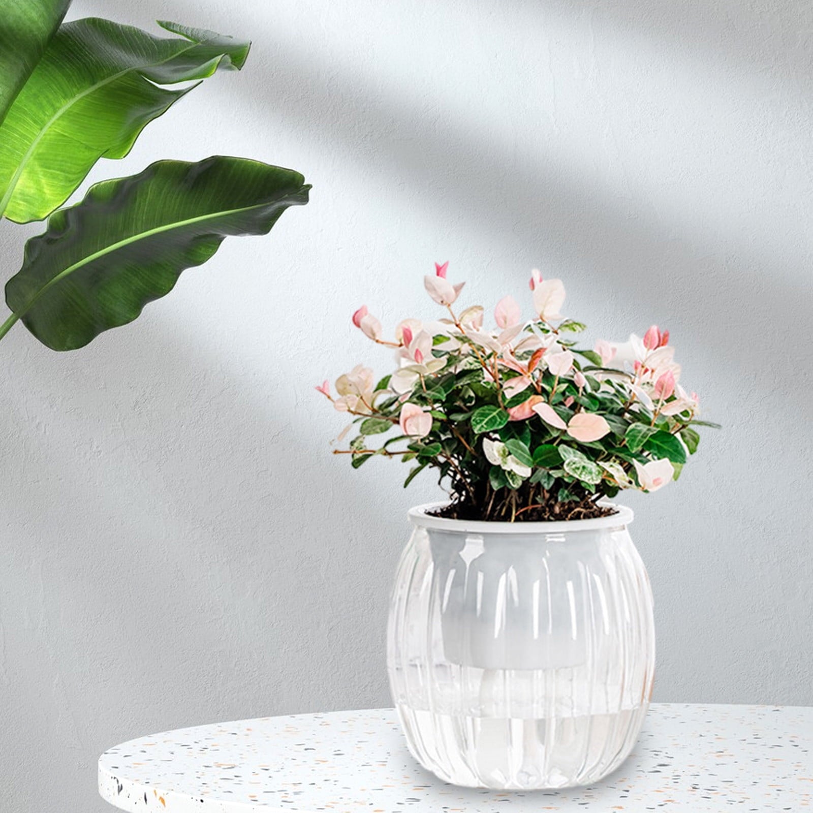 AUHomi Self Watering Pots for Indoor Plants Planter, 4.3 Inch 1 Pack Planters Self Watering Plant Pots for Flower, Houseplants, Succulent, African Violets and Cactus with Drainage (Black)