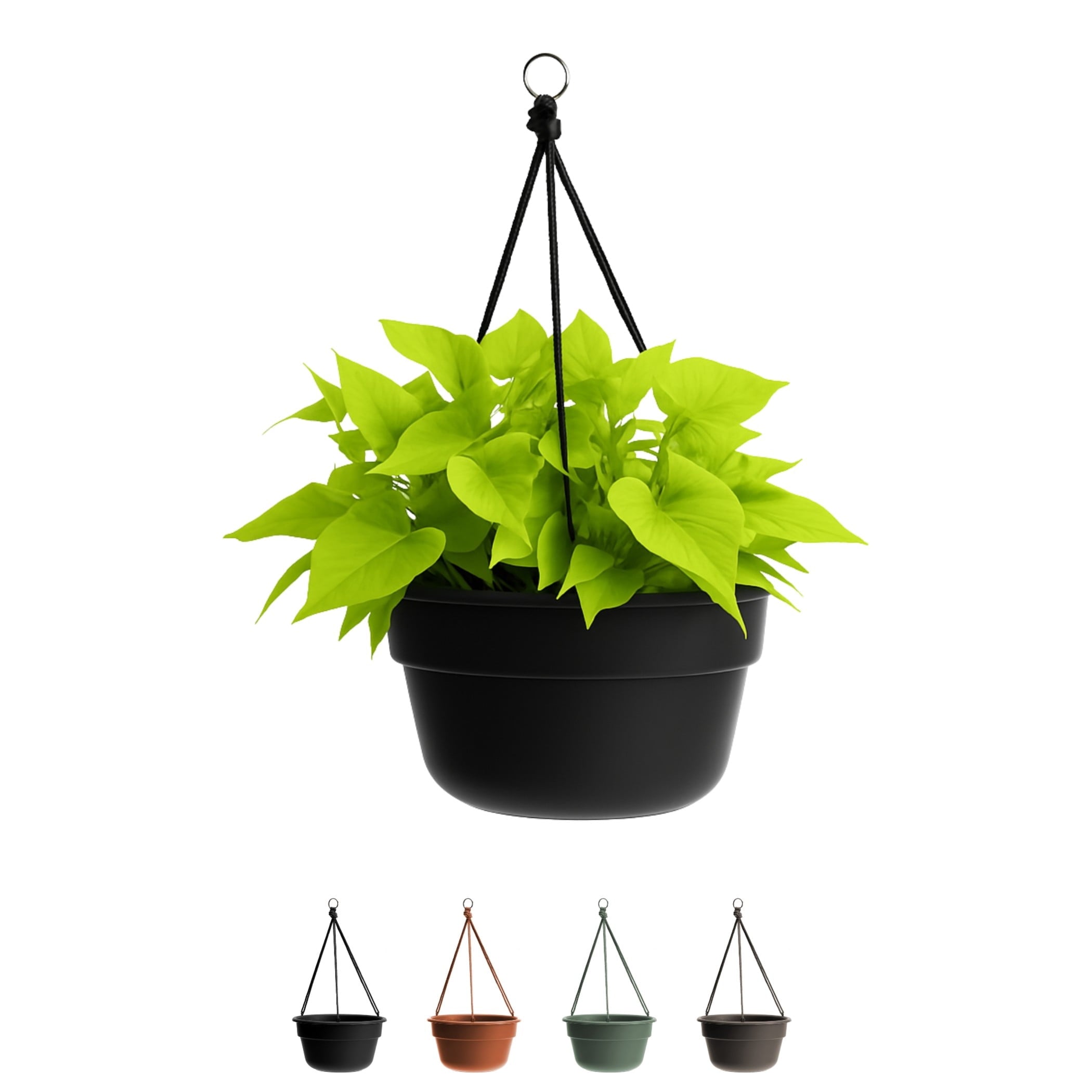 Bloem Dura Cotta 12" Terra Cotta Round Self Watering Hanging Basket Planter with Drainage with Macrame Cord Included