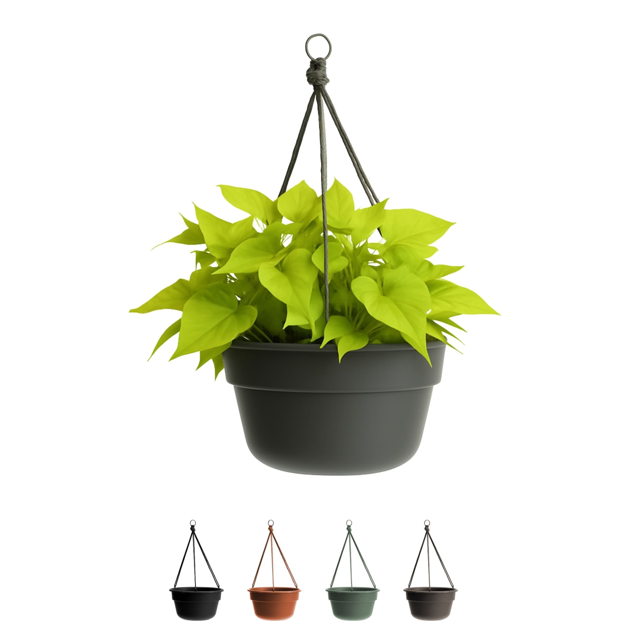 Bloem Dura Cotta 12" Terra Cotta Round Self Watering Hanging Basket Planter with Drainage with Macrame Cord Included