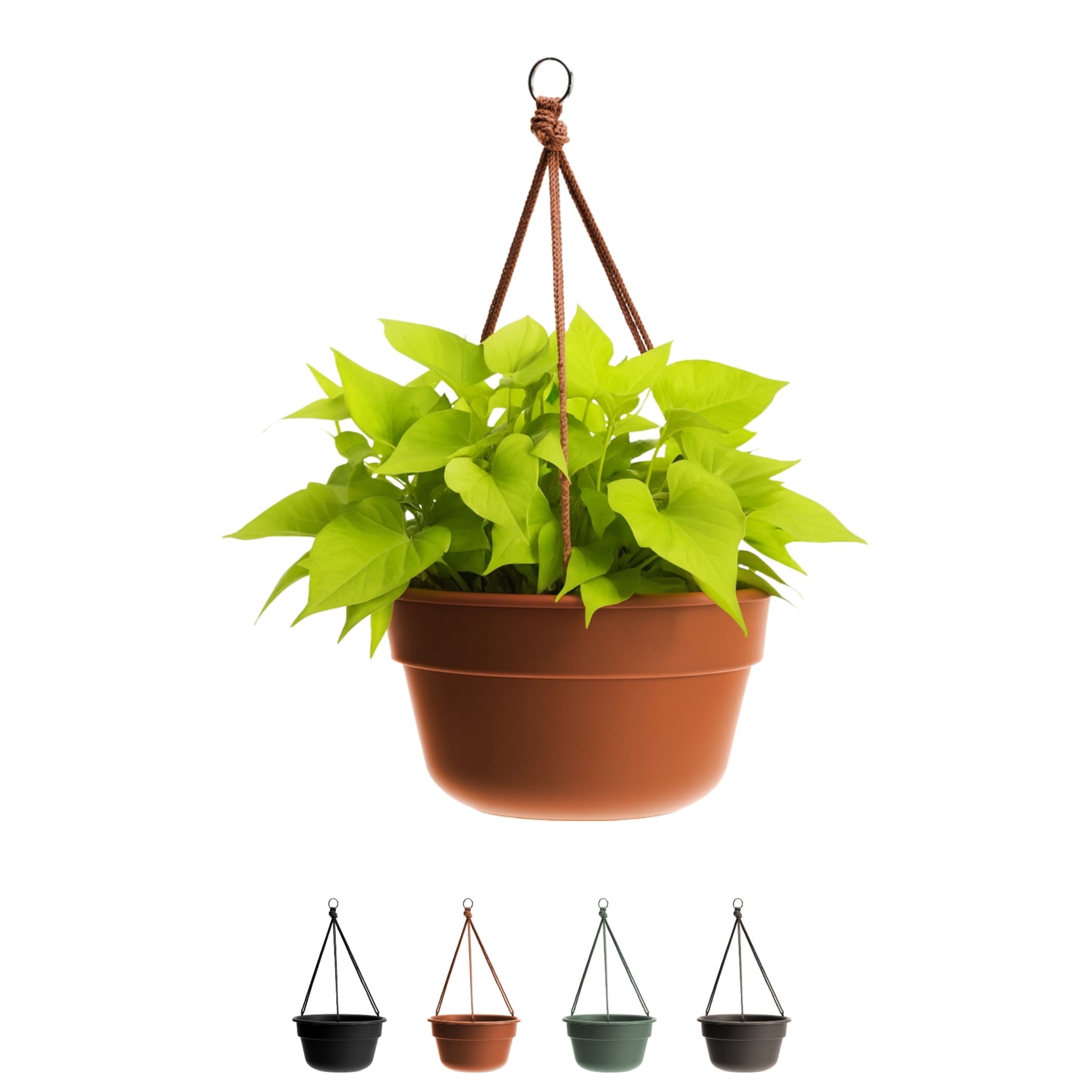 Bloem Dura Cotta 12" Terra Cotta Round Self Watering Hanging Basket Planter with Drainage with Macrame Cord Included