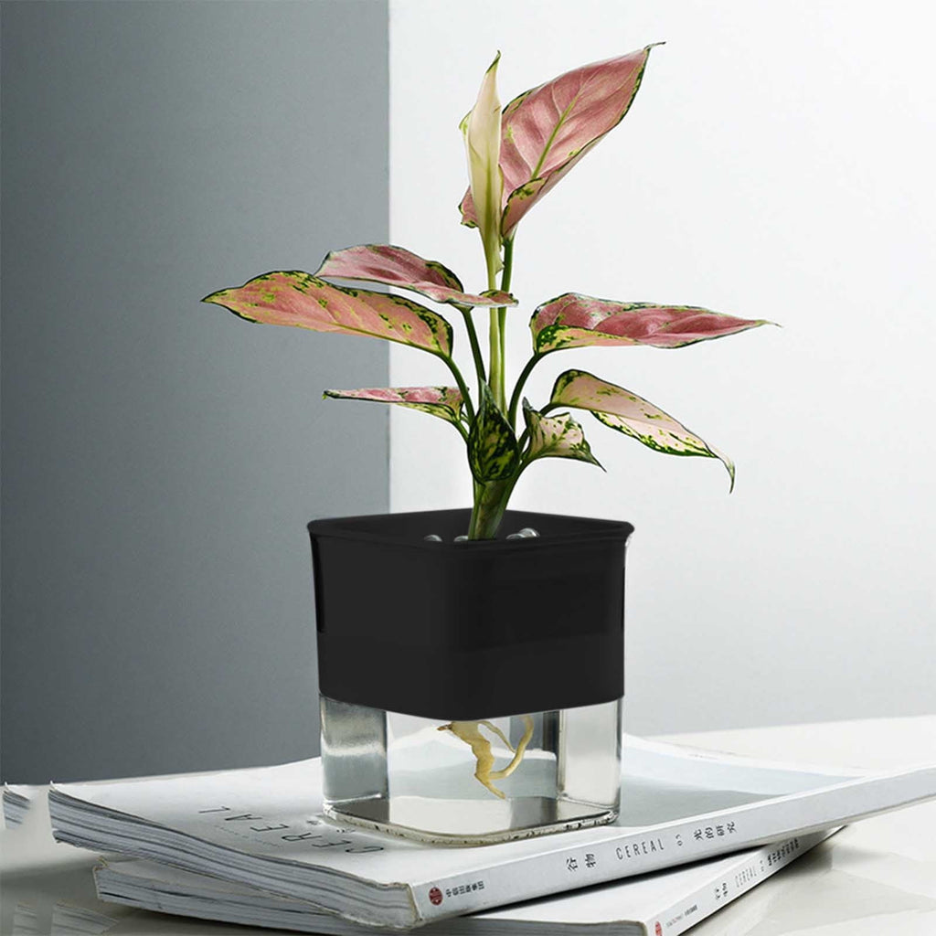 COM1950s Self-Watering Planter- Self Watering Pots for Indoor Plants,Clear Plastic Automatic-Watering Planter Flower Pot Square-Plant-Pot for All Plants,Succulents,Herb,African Violets,Flowers (4X4In)