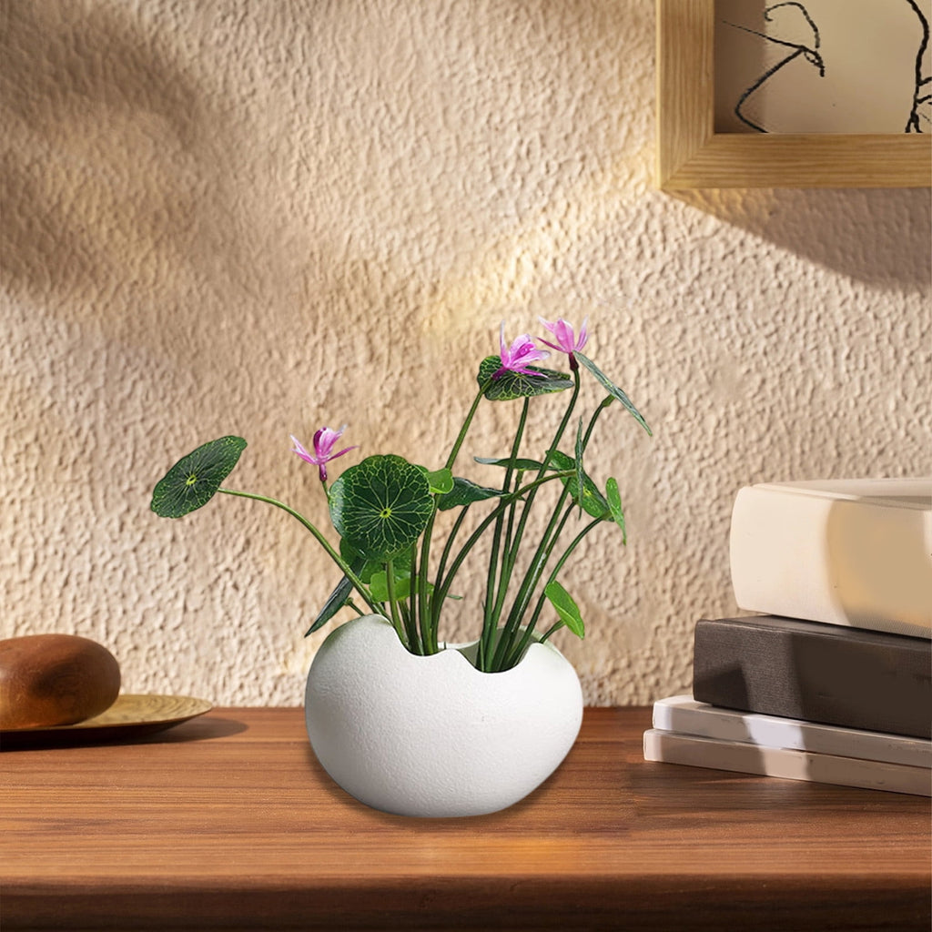 Ceramic Hydroponic Flower Pot for Succulents, Creative Self Watering Planter for Home Gardening, Modern Home Furnishings and Tabletop Decor, Indoor Plant Pot