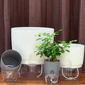 Dream Lifestyle Self Watering Pots for Indoor Plants, Self-Watering Planters Box Transparent for Devil's Ivy, Spider Plant, Orchid for Home & Office