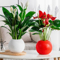 Fwttom Plant Pots, Plastic Self Watering Pots for Indoor Plants, Planter Container for Windowsill Balcony Home Decoration, White